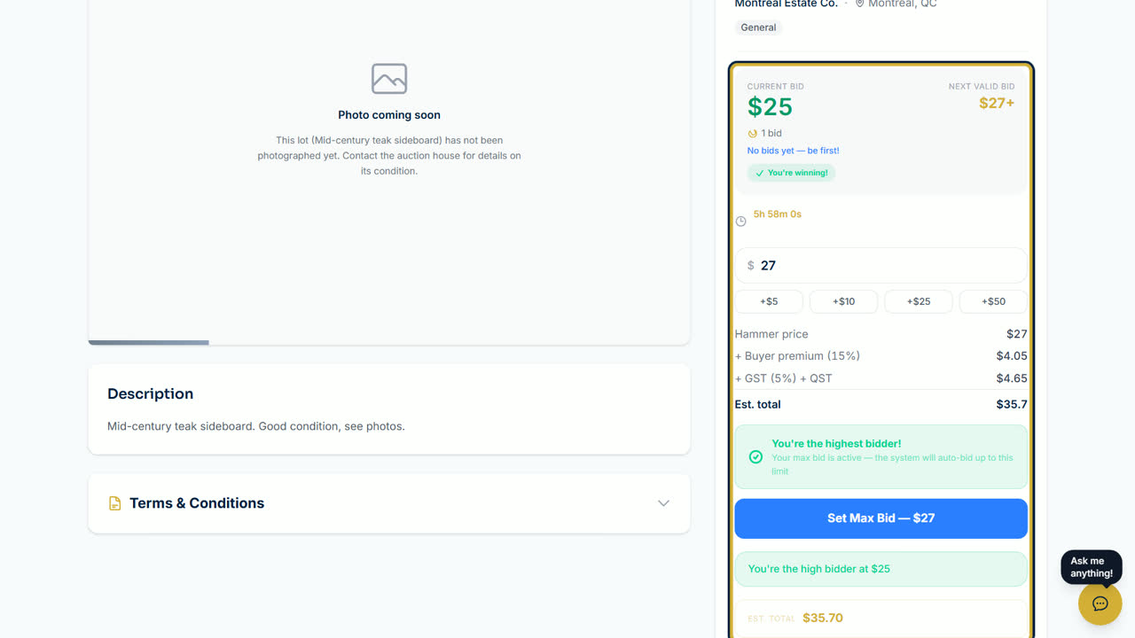 The lot page after the first bid, You're winning