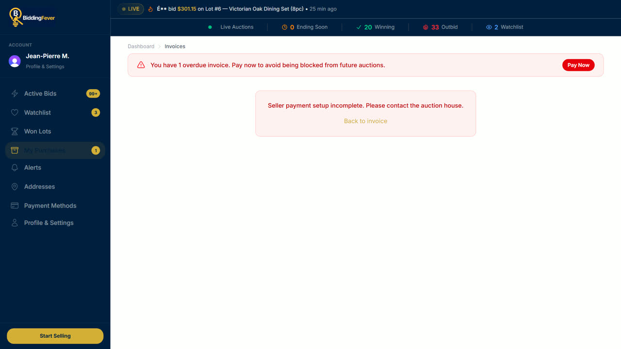 The message shown when the auction house cannot take card payments yet